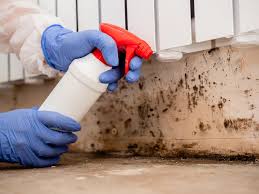 Best Residential Mold Inspection & Testing  in Mount Prospect, IL